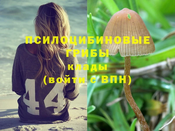 молекула духа Абинск