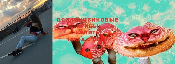 ешки Алексин
