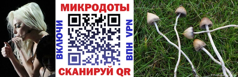 Псилоцибиновые грибы Magic Shrooms  Судогда 
